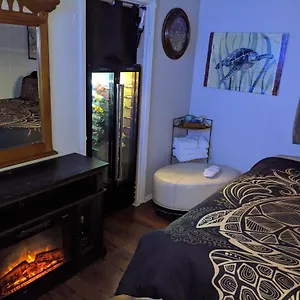 Homestay Turtles Spot